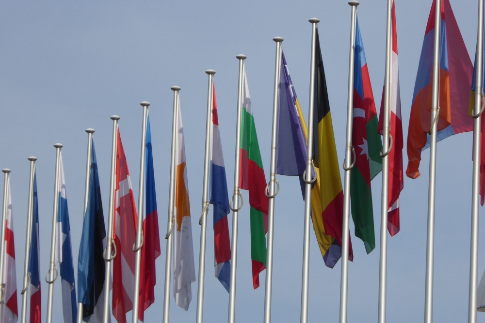 picture flag for telem